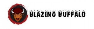 blazingbuffalo.com logo