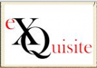 exquisite.company logo